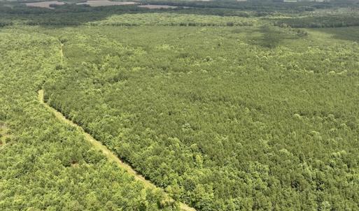 Photo #19 of Off Shields Commissary Road, Scotland Neck, NC 300.0 acres