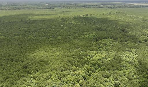 Photo #1 of Off Shields Commissary Road, Scotland Neck, NC 300.0 acres