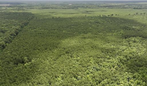 Photo #2 of Off Shields Commissary Road, Scotland Neck, NC 300.0 acres