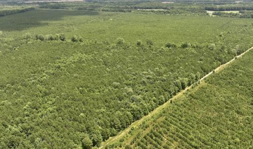 Photo #20 of Off Shields Commissary Road, Scotland Neck, NC 300.0 acres