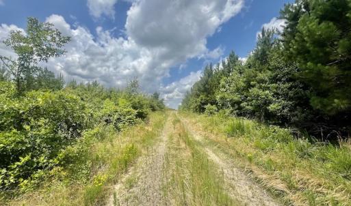 Photo #9 of Off Shields Commissary Road, Scotland Neck, NC 300.0 acres