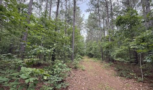 Photo #21 of Off Shields Commissary Road, Scotland Neck, NC 300.0 acres