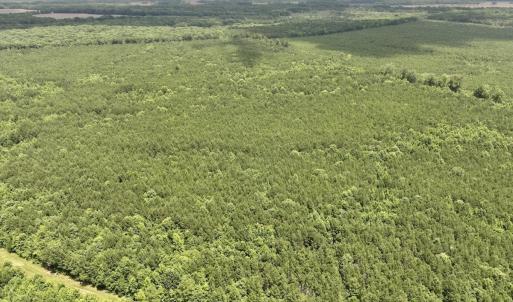 Photo #26 of Off Shields Commissary Road, Scotland Neck, NC 300.0 acres