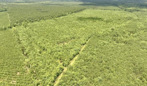 Photo #27 of Off Shields Commissary Road, Scotland Neck, NC 300.0 acres