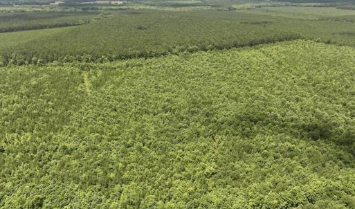 Photo #29 of Off Shields Commissary Road, Scotland Neck, NC 300.0 acres