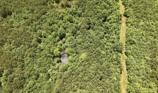 Photo #30 of Off Shields Commissary Road, Scotland Neck, NC 300.0 acres