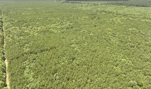 Photo #34 of Off Shields Commissary Road, Scotland Neck, NC 300.0 acres