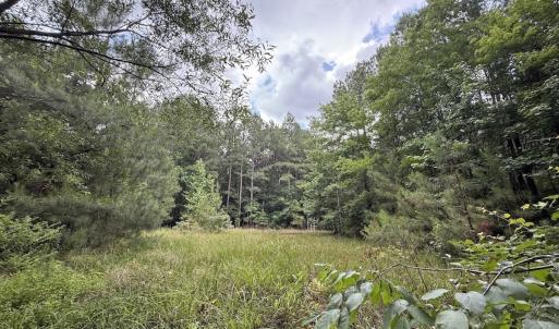 Photo #38 of Off Shields Commissary Road, Scotland Neck, NC 300.0 acres