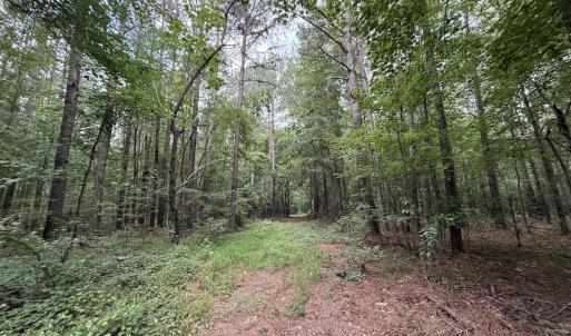 Photo #39 of Off Shields Commissary Road, Scotland Neck, NC 300.0 acres