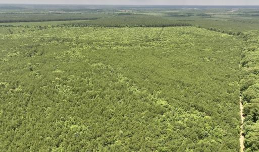 Photo #40 of Off Shields Commissary Road, Scotland Neck, NC 300.0 acres