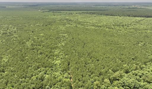 Photo #41 of Off Shields Commissary Road, Scotland Neck, NC 300.0 acres