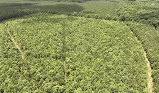 Photo #43 of Off Shields Commissary Road, Scotland Neck, NC 300.0 acres