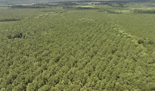 Photo #44 of Off Shields Commissary Road, Scotland Neck, NC 300.0 acres