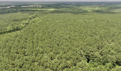 Photo #45 of Off Shields Commissary Road, Scotland Neck, NC 300.0 acres