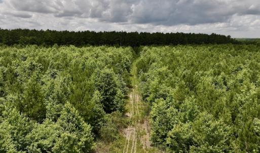 Photo #46 of Off Shields Commissary Road, Scotland Neck, NC 300.0 acres