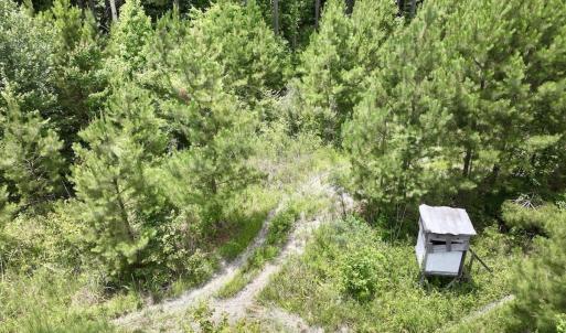 Photo #47 of Off Shields Commissary Road, Scotland Neck, NC 300.0 acres