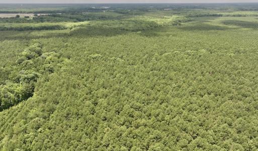 Photo #48 of Off Shields Commissary Road, Scotland Neck, NC 300.0 acres