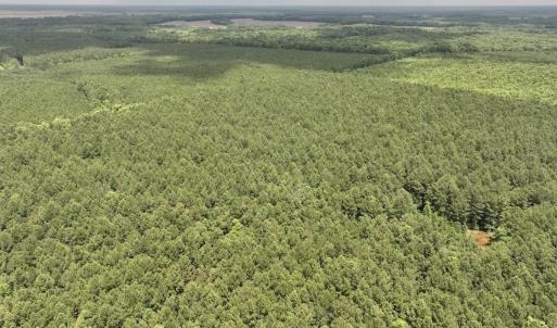 Photo #49 of Off Shields Commissary Road, Scotland Neck, NC 300.0 acres