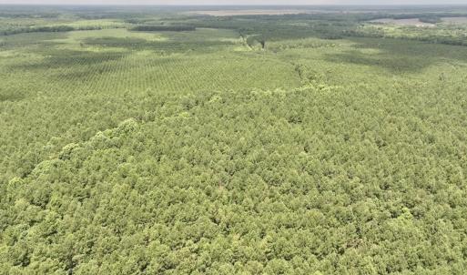 Photo #50 of Off Shields Commissary Road, Scotland Neck, NC 300.0 acres