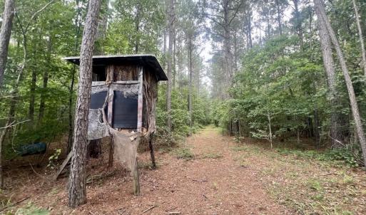 Photo #53 of Off Shields Commissary Road, Scotland Neck, NC 300.0 acres
