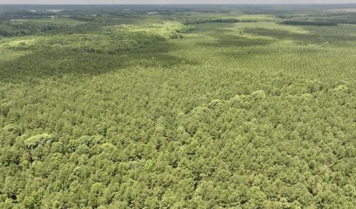 Photo #54 of Off Shields Commissary Road, Scotland Neck, NC 300.0 acres