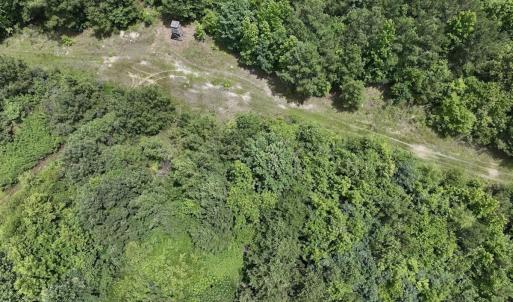 Photo #57 of Off Shields Commissary Road, Scotland Neck, NC 300.0 acres