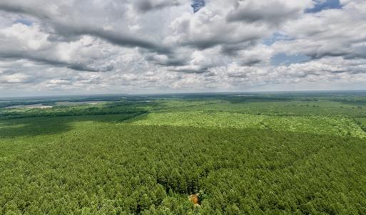 Photo #58 of Off Shields Commissary Road, Scotland Neck, NC 300.0 acres