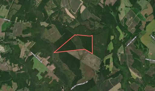 Photo #59 of Off Shields Commissary Road, Scotland Neck, NC 300.0 acres