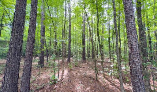 Photo #13 of Off Powell Ave, Lancaster, SC 6.4 acres
