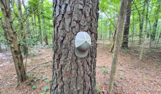 Photo #14 of Off Powell Ave, Lancaster, SC 6.4 acres