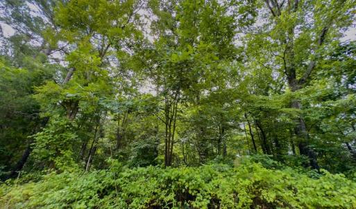 Photo #4 of Off Powell Ave, Lancaster, SC 6.4 acres
