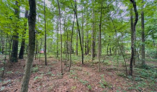 Photo #6 of Off Powell Ave, Lancaster, SC 6.4 acres