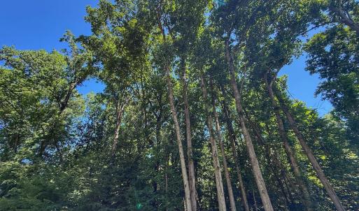 Photo #20 of 2212 Woodnell Dr, Raleigh, NC 0.5 acres