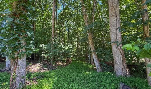 Photo #22 of 2212 Woodnell Dr, Raleigh, NC 0.5 acres