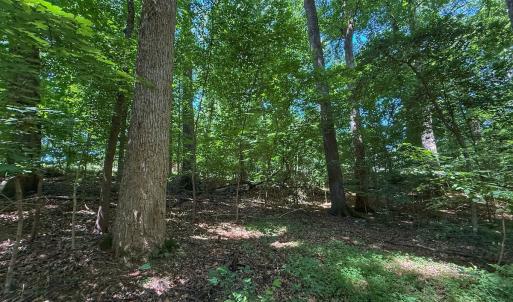 Photo #26 of 2212 Woodnell Dr, Raleigh, NC 0.5 acres