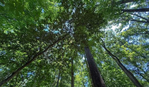 Photo #27 of 2212 Woodnell Dr, Raleigh, NC 0.5 acres
