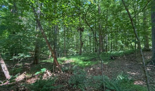 Photo #30 of 2216 Woodnell Dr, Raleigh, NC 0.5 acres