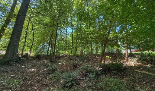 Photo #31 of 2216 Woodnell Dr, Raleigh, NC 0.5 acres