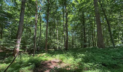 Photo #32 of 2216 Woodnell Dr, Raleigh, NC 0.5 acres