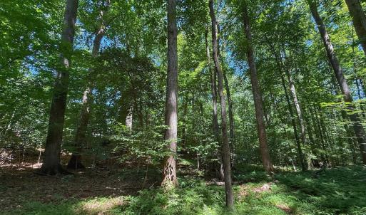 Photo #33 of 2216 Woodnell Dr, Raleigh, NC 0.5 acres