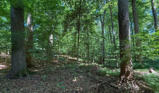 Photo #34 of 2216 Woodnell Dr, Raleigh, NC 0.5 acres