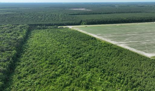 Photo #10 of Off Ocean Highway, Hertford, NC 140.0 acres