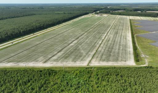 Photo #11 of Off Ocean Highway, Hertford, NC 140.0 acres
