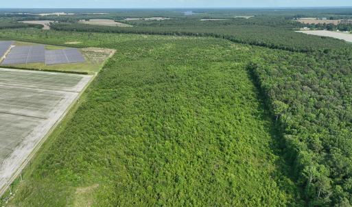 Photo #12 of Off Ocean Highway, Hertford, NC 140.0 acres