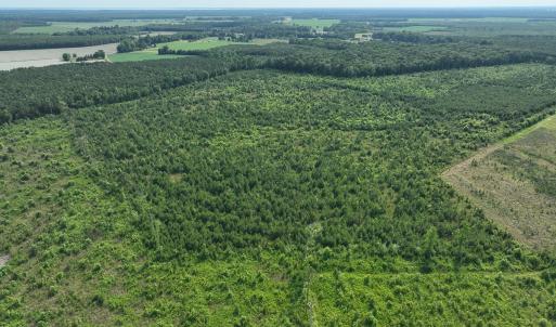 Photo #6 of Off Ocean Highway, Hertford, NC 140.0 acres