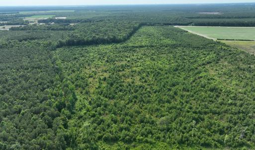 Photo #7 of Off Ocean Highway, Hertford, NC 140.0 acres