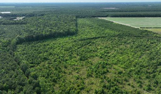 Photo #8 of Off Ocean Highway, Hertford, NC 140.0 acres