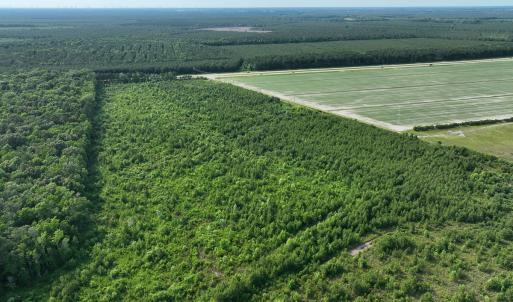 Photo #9 of Off Ocean Highway, Hertford, NC 140.0 acres