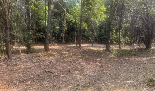 Photo #4 of Off Goodman Road, Lot 4, Pelham, NC 4.5 acres