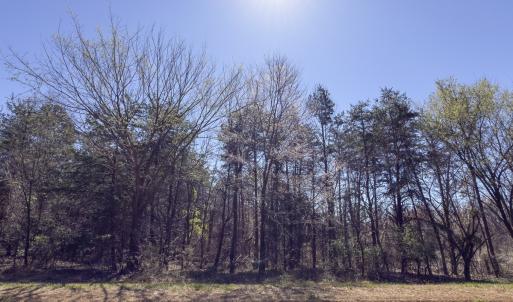 Photo #9 of Off Goodman Road, Lot 4, Pelham, NC 4.5 acres